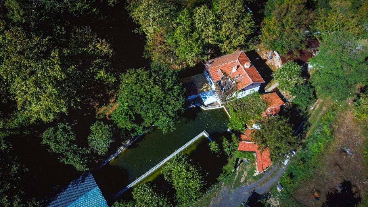 Рибарник Forest Мagic Topolitsa Bagian luar foto